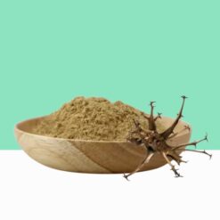 Organic Devils Claw Powder / Harpagophytum procumbens -  Bulk / Wholesale