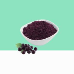 Organic Elderberry Fruit Powder / Sambucus nigra -  Bulk / Wholesale