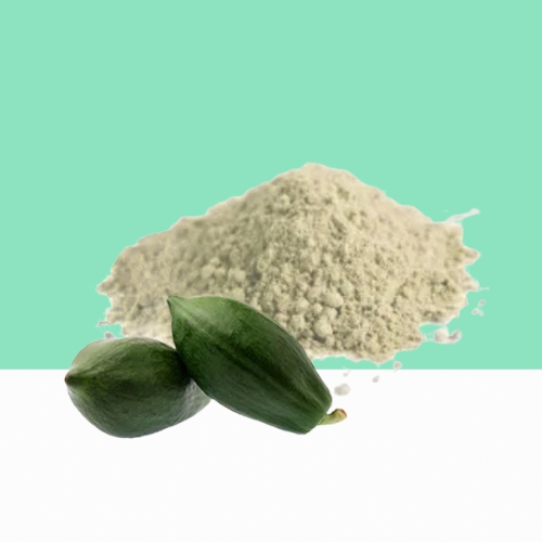 Organic Green Papaya Fruit Powder