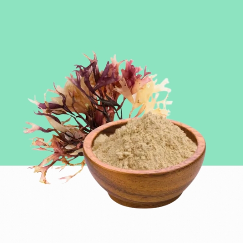 Organic Irish Moss Powder