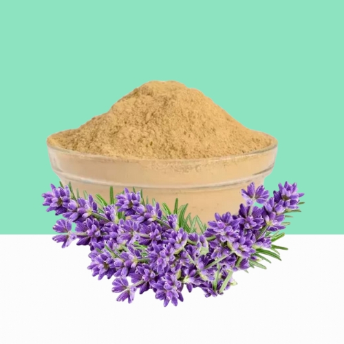 Organic Lavender Powder