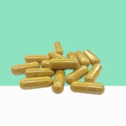 Organic Pure Ginger Capsules/Zingiber officinale -  Bulk / Wholesale