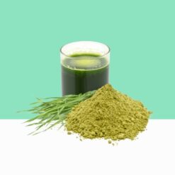 Organic Wheat Grass Juice Powder -  Bulk / Wholesale