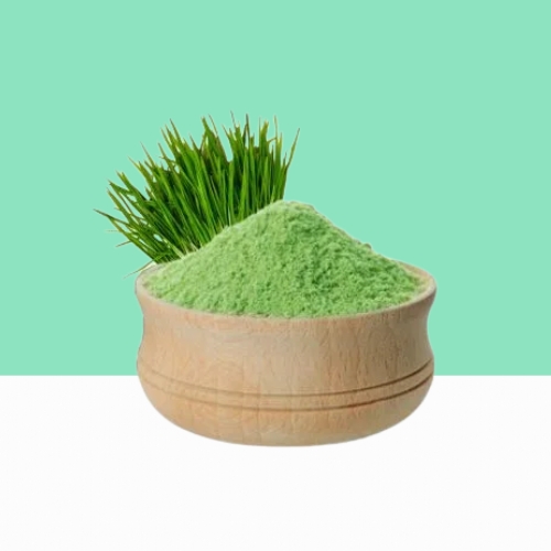 Organic Wheat Grass Powder