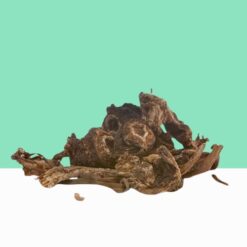 Osha Root /Ligusticum Porteri -Bulk/ Wholesale