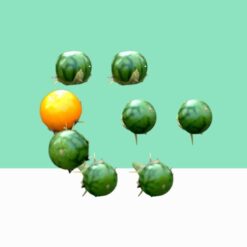 Posion Berry / Solanum Indicum –  Bulk / Wholesale