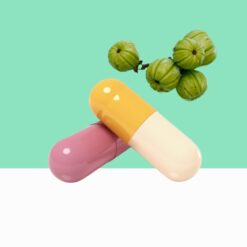 Pure Garcinia Cambogia Extract Capsule/Garcinia gummi-gutta - Bulk / Wholesale