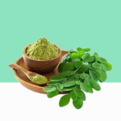 Pure Moringa Leaves/ Moringa Oleifera Leaf Dried -Bulk/Wholesale