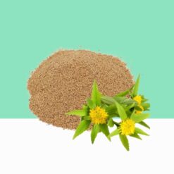 Rhodiola Rosea Extract- Bulk/Wholesale