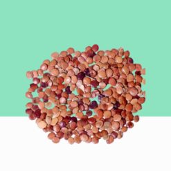 Seemai Agathi Seeds/Sesbania grandiflora-Bulk/Wholesale