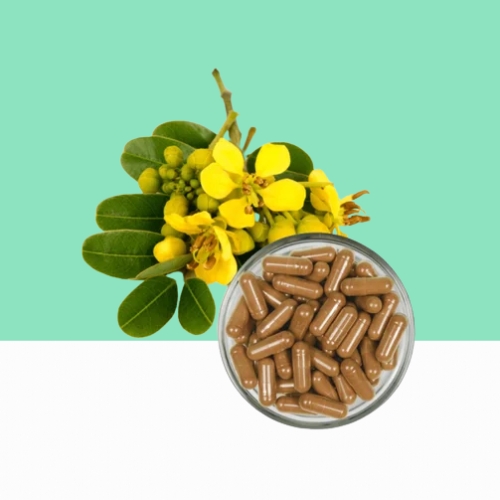 Senna Powder Capsule