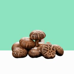 Shiitake Mushroom / Lentinula Edodes - Bulk/ Wholesale