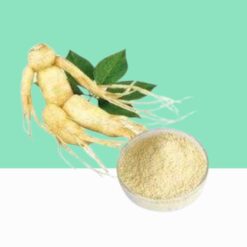 Siberian Ginseng Root Powder / Eleutherococcus senticosus - Bulk / Wholesale