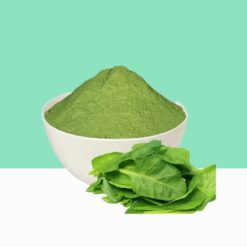 Spinach Extract Powder / Spinacia Oleracea - Bulk/ Wholesale