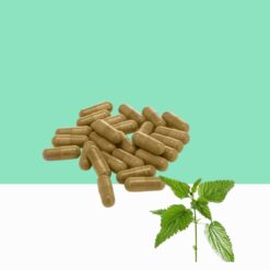 Stinging Nettle  /Urtica Dioica -Bulk/ Wholesale