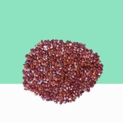 Subabul Seeds/ Leucaena Leucocephala- Bulk / Wholesale