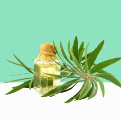Tea Tree Oil- Bulk/Wholesale