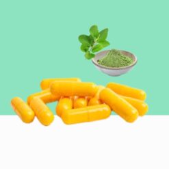 Tulsi Powder Capsules/Ocimum sanctum - Bulk / Wholesale