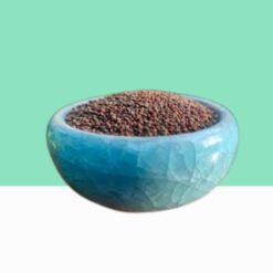 Wild Mustard/Cleome Icosandra-  Bulk / Wholesale
