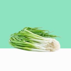 Wild Onion/Scilla Indica- Bulk/Wholesale