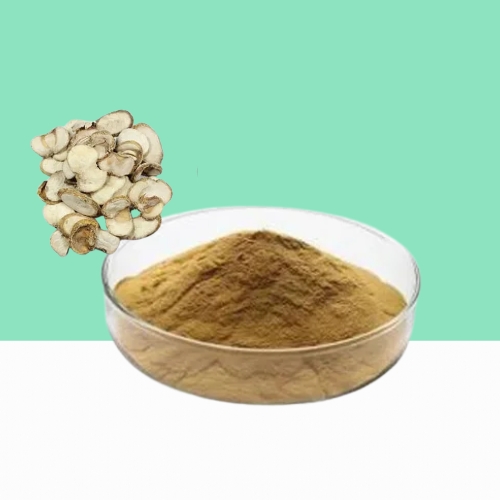 Zhejiang Fritillary Bulb Extract Powder